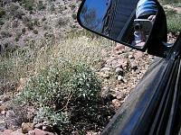 toyota pickup offcamber pic-pictures-truck-060.jpg