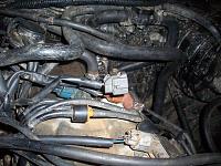 Please help!!!! One wire to go!!!-101_2150.jpg