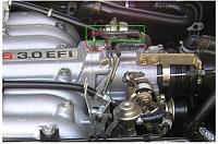 Help identify please-z.jpg