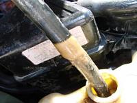 Thick Brown oily Sludge in my Radiator-3.jpg