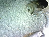 Seat swap time !!-1218001537a.jpg