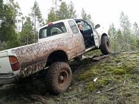 IFS Flex Pics-6.jpg