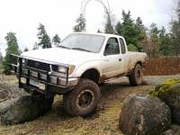 IFS Flex Pics-2.jpg