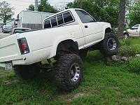 IFS Flex Pics-2toy-92.jpg
