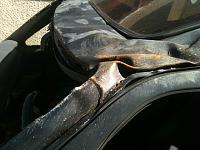 Rolled her :(-img_0574.jpg