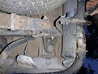 Incident with tree - looking for advice!-p1010579-medium-small-small-mobile-.jpg