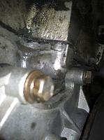 Oil leak-image-1193680298.jpg