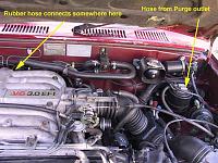 Vacuum line - where does it go?-vacuum-line2.jpg