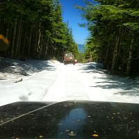 Post Your Pics!!!-image-1603595062.jpg