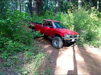 Post Your Pics!!!-image.jpg