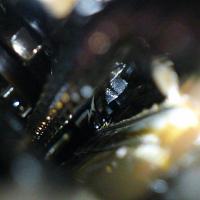 Your 22RE Timing Chain Mileage?-p1010931.jpg