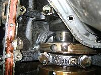 Post Your Pics!!!-dsc07786.jpg