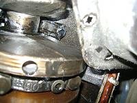 Post Your Pics!!!-dsc07788.jpg