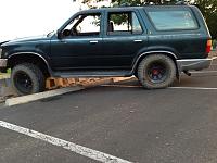 IFS Flex Pics-image-3646150424.jpg