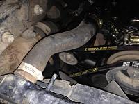 Lower radiator hose leaking, please help.-img_1034.jpg