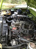 Post Your Pics!!!-image-2890793135.jpg