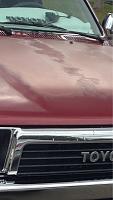 WTB 1991 2wd "TOYOTA" grill emblem-image-2989051974.jpg