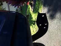 93 Toyota Pickup RC 2WD - Body Lift/Bumper Bracket Question-img_0526.jpg