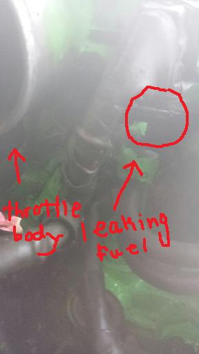 Name:  toyota.jpg
Views: 62
Size:  13.6 KB