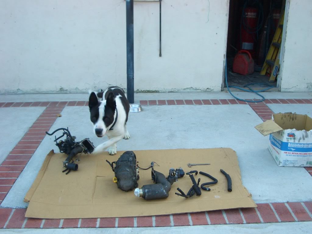 Name:  CIMG8373.jpg
Views: 1555
Size:  120.8 KB