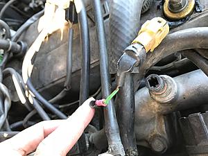 Coolant Temperature Sensor Wiring-img_2565.jpg