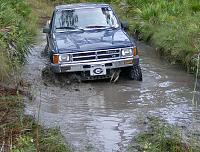 I need help dont know whats happening-woods-031.jpg