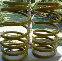 Moog CC255 coils-cc255.jpg