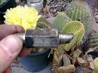 Clutch Fork stop?-photo3912.jpg