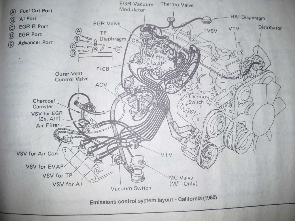 Name: Cali1980_zps89dea052.jpg
Views: 759
Size: 365.1 KB