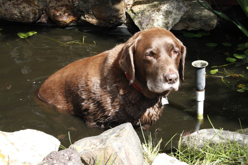 Name:  _MG_3381_2.jpg
Views: 642
Size:  170.6 KB