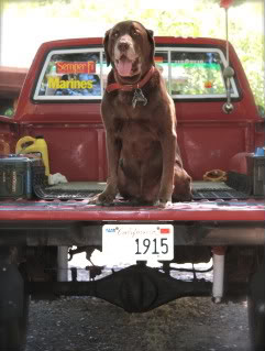 Name:  IMG_3420.jpg
Views: 829
Size:  20.9 KB