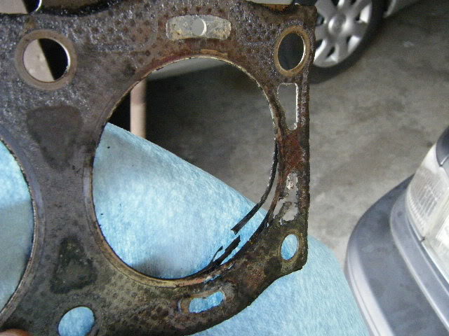Name:  DSCF0361.jpg
Views: 4704
Size:  66.2 KB