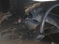 87 4x4 Starter Burst Into Flames!-img_4491.jpg