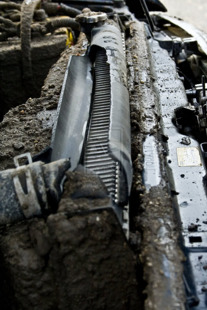 Name:  Blown_Radiator_by_JMALHERBE.jpg
Views: 357
Size:  125.4 KB