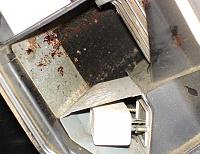 Cabin filter in the "t"?-tblowr4.jpg