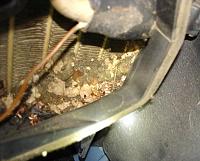 Cabin filter in the &quot;t&quot;?-tblowr11.jpg