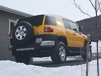 Fusion Yellow FJs-100_1439.jpg