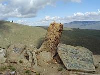 TR for Burch Mntn. in Central Wash.-vandalism-2-tree-lookout.jpg