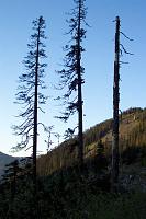 [WA] Mt. Gardner exploration-mtgardner-009.jpg