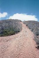Prescott, AZ. - Moderate to difficult Trail Ride, 11 June 05-up-riggles-hill.jpg