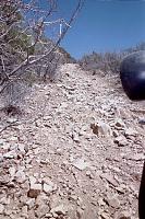 Prescott, AZ. - Moderate to difficult Trail Ride, 11 June 05-up-halford-hill.jpg