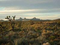 Mine Hunting in the Mojave Desert, Ca.-mojvmineshart20.jpg