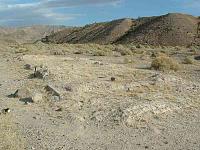 Mine Hunting in the Mojave Desert, Ca.-mojvsperrytraindpt.jpg