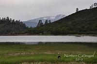 Squaw Ridge/Pardoe trail/ NorCal-_dsc0224.jpg