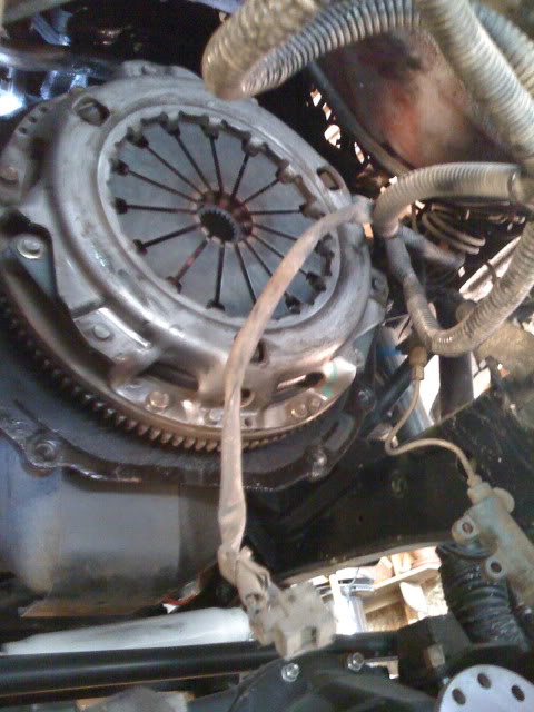 Name:  IMG_0162-1.jpg
Views: 584
Size:  62.0 KB