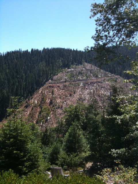 Name:  IMG_0377.jpg
Views: 603
Size:  91.5 KB