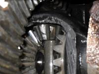 huge problem! 5:38 spline gears in danna 44-sdc10611.jpg