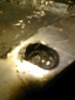 Stud messed baddddd-110402_1712-01-.jpg