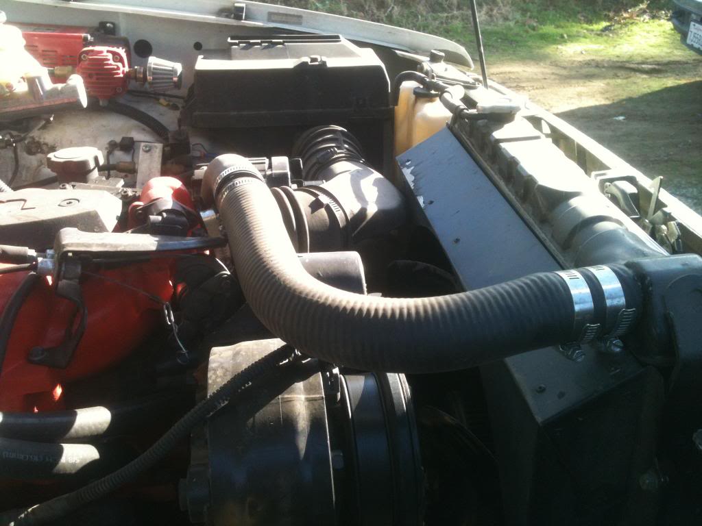 Name:  radiatorhose002.jpg
Views: 462
Size:  83.4 KB