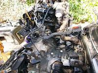 VW 1.9TDI into 94' Toyota truck-100_0927.jpg
